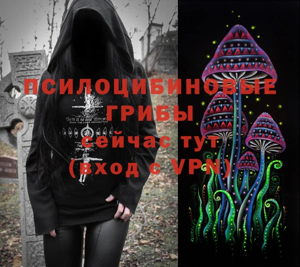 гидропоника Приозерск